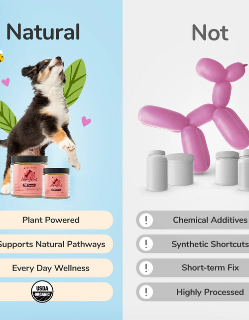 Load image into Gallery viewer, Suplemento Orgánico Para Cadera+Articulaciones Para Perros Y Gatos (Mediano) - 4 Oz
